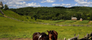 Programme de l'été Québec Autrement