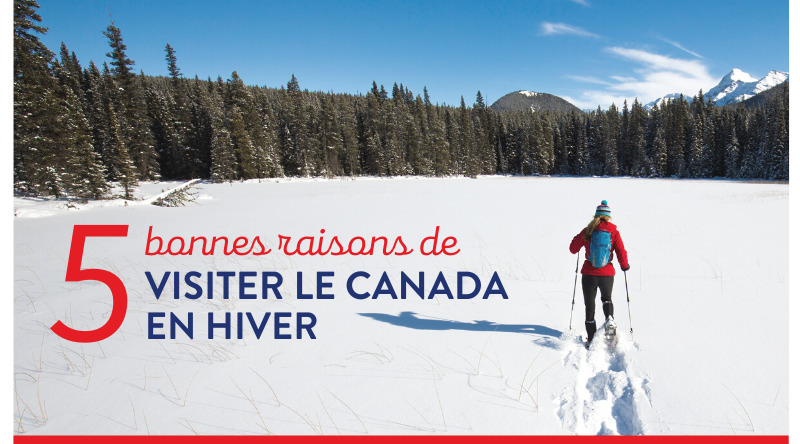 5 raisons de visiter le canada cet hiver