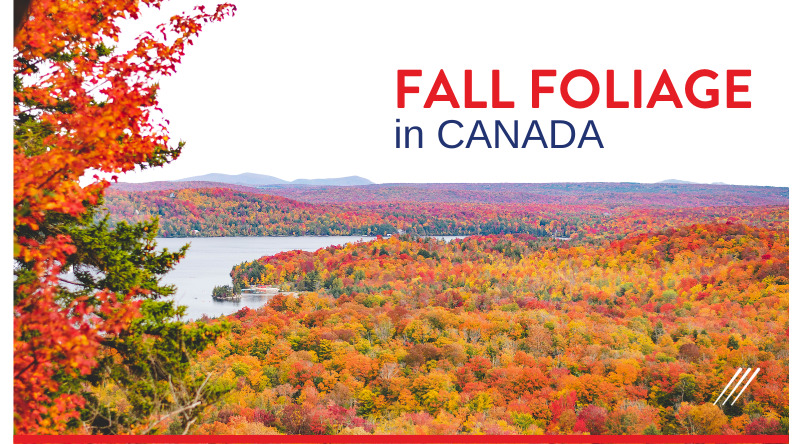 Fall foliage in Canada