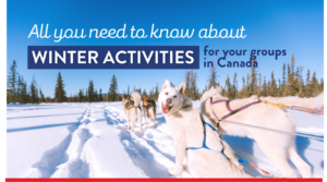 Receptour Blog - Winter activites